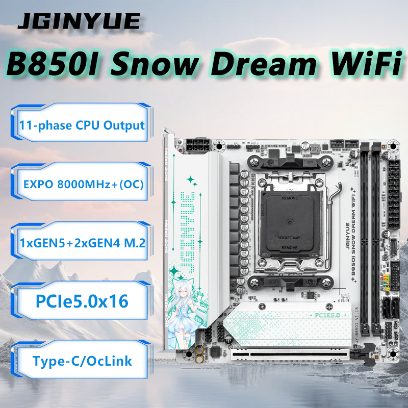 JGINYUE B850i Snow Dream WiFi  – Nas Motherboard 8 Sata Mini Itx Bewertung und Preis