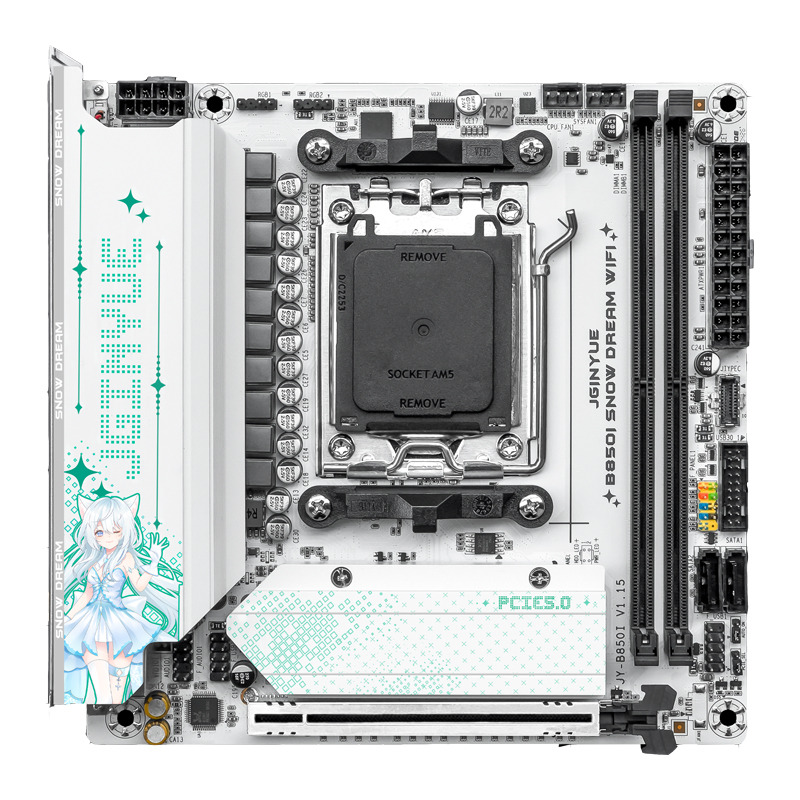 JGINYUE B850i Snow Dream WiFi  – Nas Motherboard 8 Sata Mini Itx Bewertung und Preis